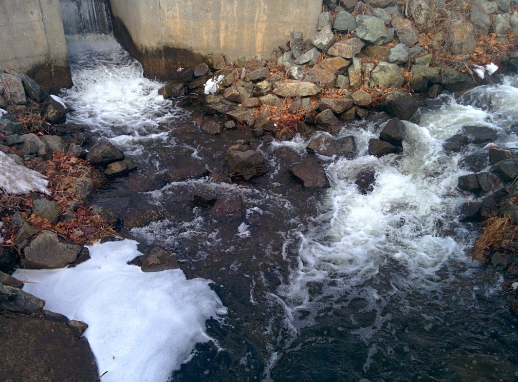 Breath deep, it's beauty will not quickly diminish