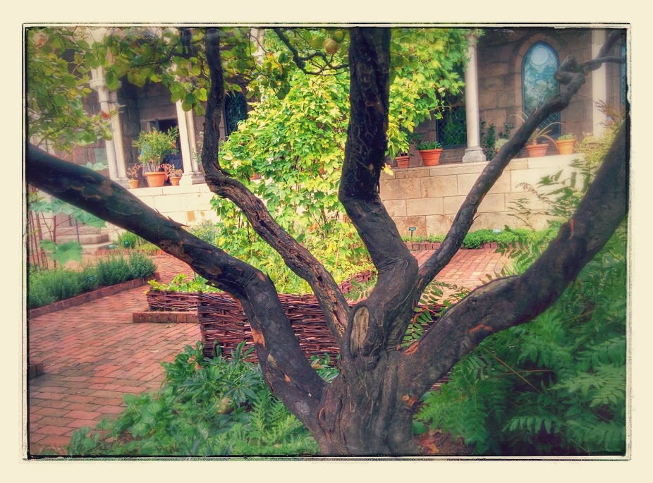 A tree put through some hi-tech un-solicited filters. 